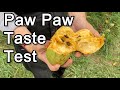 Paw Paw Taste Test (Susquehanna, Sunflower, Mango, Prolific, NC1, 1035)