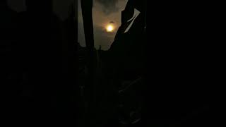 Download lagu STORY WA YA THOYBAH YA ALI YA ABI THALIB ( SENJA) mp3