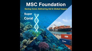 MSC Foundation: Saving Coral, Delivering Aid & Global Impact 🌍🚢