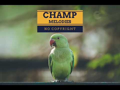 Jonas Schmidt, eedion, Joey Busse - Waiting For You [Champ Melodies No Copyright]