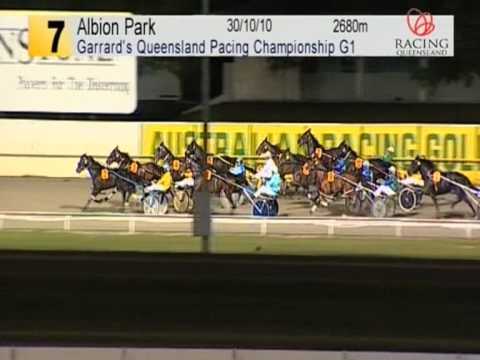 2011 Queensland  Harness Horse of the Year