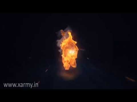 Lion On Fire LOGO  - Logo Animation & Video Makers kolhapur