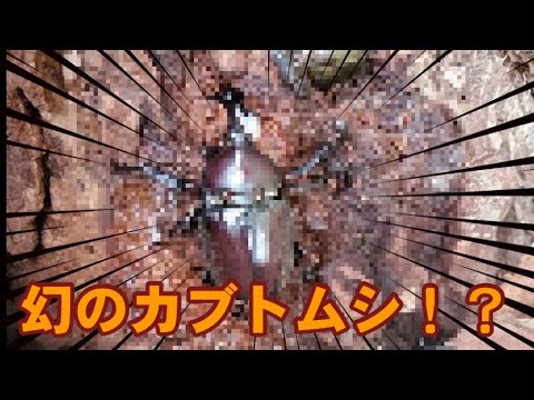 主にYouTubeの編集を担っています イメージ1