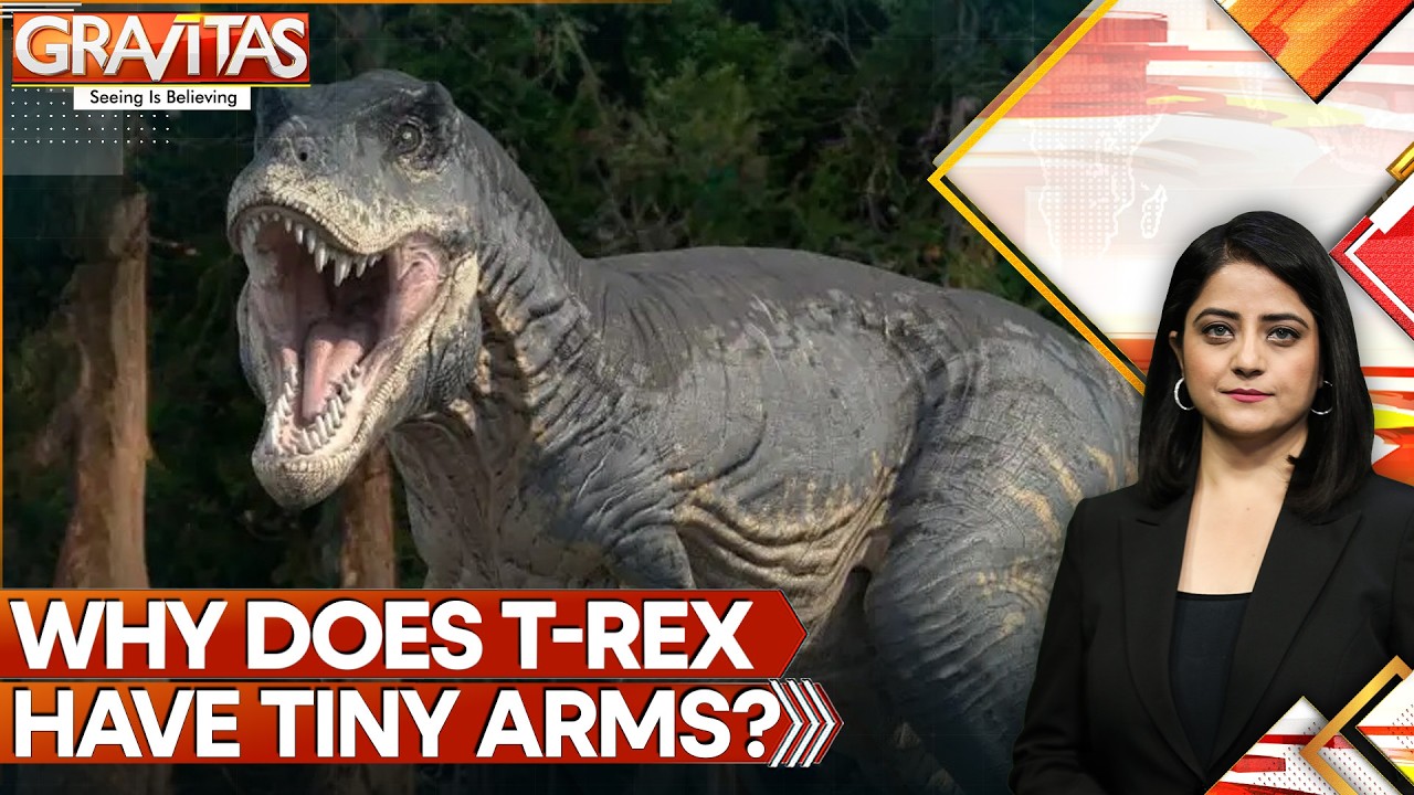 Mystery Of T-Rex's Tiny Arms Decoded: Here's What Study Says | GRAVITAS