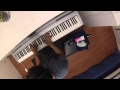 Avril Lavigne - Fly (Piano Cover) 