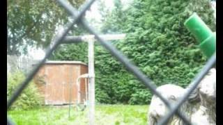 Aphex Twin - Strotha tynhe