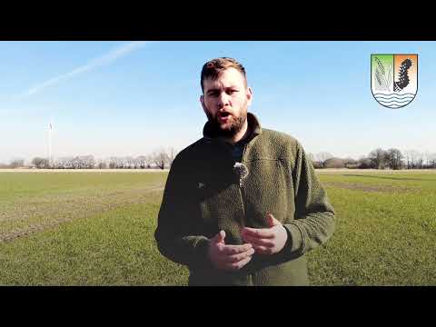 Blattdüngereinsatz Getreide Raps 2022