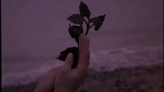 Cindytalk - Prince Of Lies