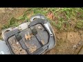 Black Widow Lurking Inside Rodent Bait Station in Hightstown, NJ