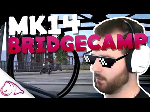Solo MK14/Kar BRIDGECAMPING | PUBG Gameplay