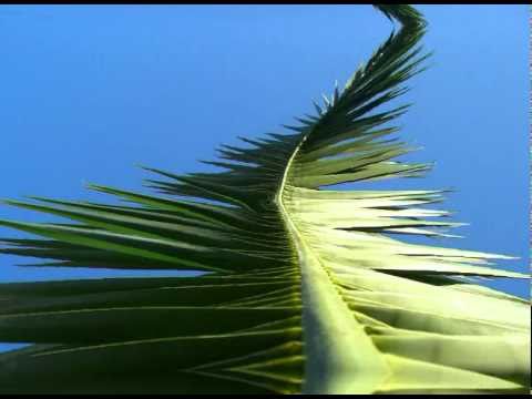 DJ Fist Let Me See You Work (Original Mix).mp4