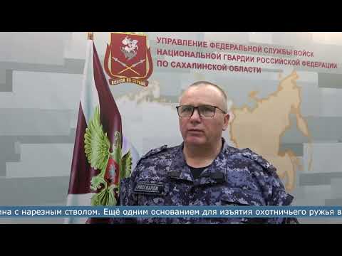 20 единиц оружия и 40 патронов изъяли росгвардейцы на Сахалине за прошедшую неделю