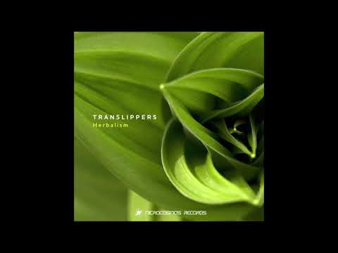 Translippers - Speaking Moss | Chill Space