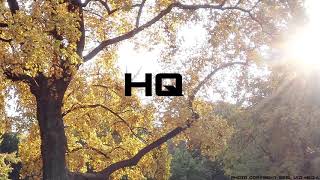 UB40 - The Earth Dies Screaming (HQ)