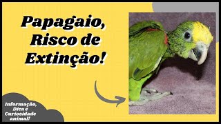 [Veja Dicas, Curiosidades e Informaes Sobre Animais de Estimao] #shorts