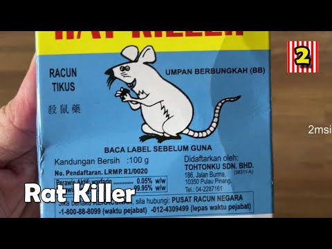 King Kong Rat Killer Racun Tikus