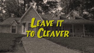 Leave It to Cleaver - Architectural Genocide