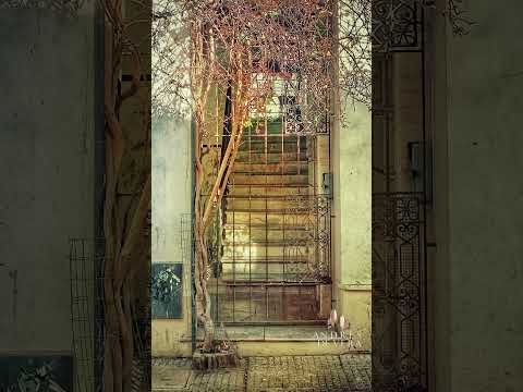 Puertas de Ciudad Vieja Montevideo Uruguay
