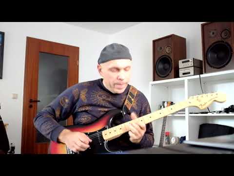 Fender Stratocaster 1978 (all original)