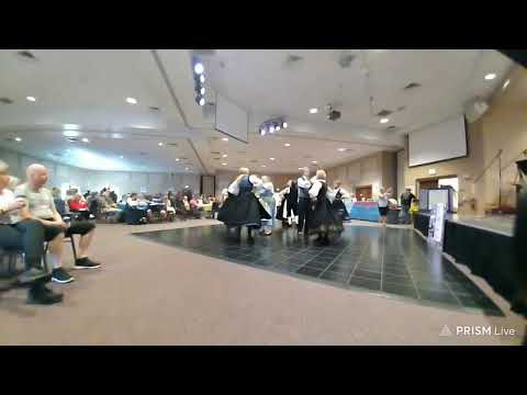 Sacramento Scandinavian Festival