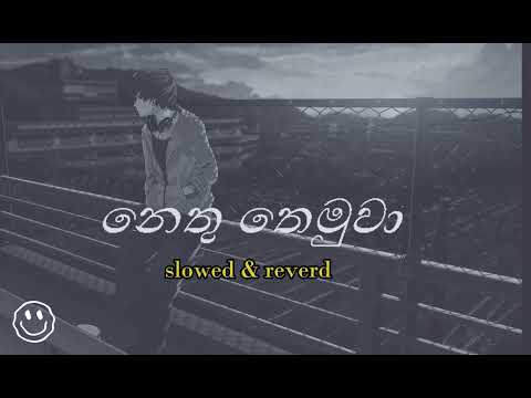 නෙතු නෙමුවා _ [nethu themuwa]_slowed & reverb_(ආදරියේ)__bass boosted_Rasika liyanarachchi_