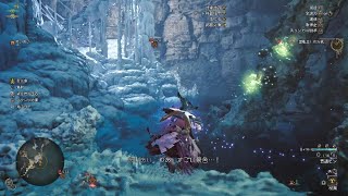 Monster Hunter Wilds_20250502011225