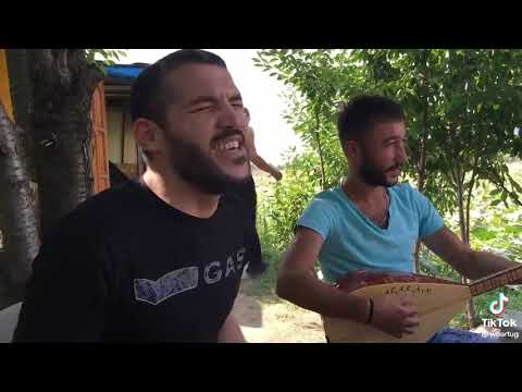 alda git neyin var neyin yoksa (sensizde yaşarım ankarada)