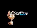 GoPro The Secret Life Of Pets