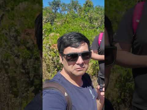 Cumbre en Zapallar 🇨🇱 Trekking al Parque El Boldo | Vista IMPACTANTE 🌄 #Shorts
