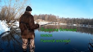 Ссылка
