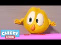 Where S Chicky Funny Chicky 2020 DANCE MUSIC Chicky Cartoon In English For Kids