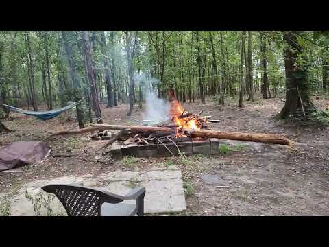 Fire pit burning some wood and a tree that fell here in South Carolina