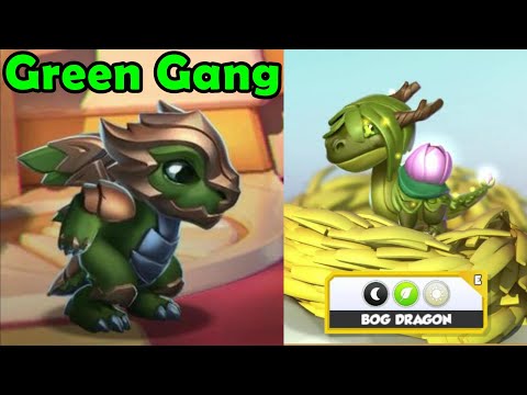 BOG DRAGON + WARRIOR DRAGON Hatching! New UI Player Testing! - DML #1377
