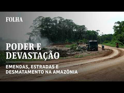 Entenda como emendas parlamentares estão sendo usadas para desmatar a Amazônia