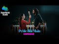 Pehle Bhi Main Karaoke With Scrolling Lyrics ANIMAL Ranbir Kapoor Tripti Dimri