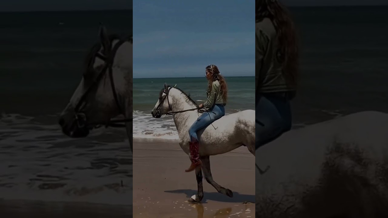 #horse 🐎 #video 🐎🐎🐎🐎🐎❤️❤️❤️❤️🐎