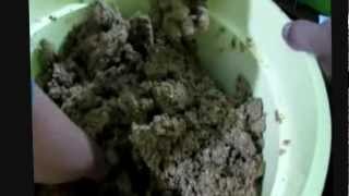 Elaboracion de Sampa.wmv