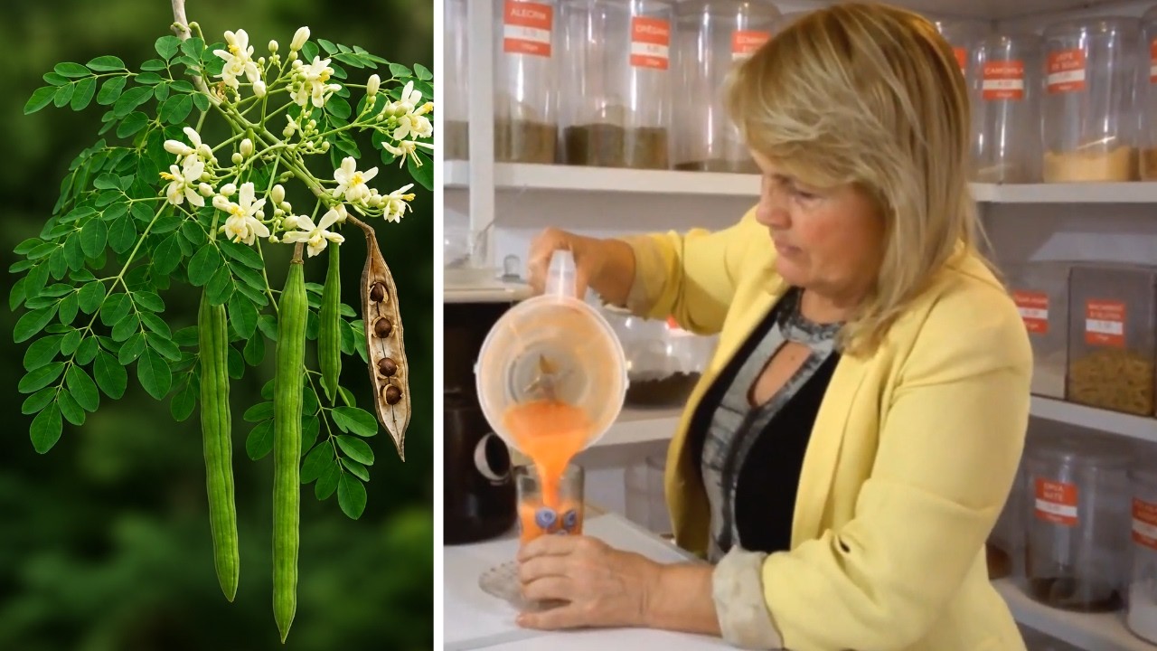 Baixa a Glicose, o Colesterol, Acaba com Dores e Inchaços no Estômago 💖 MARILENE SARAH FIALHO