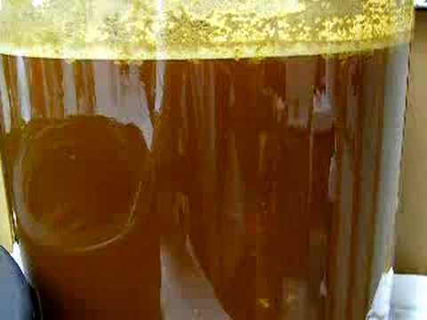 999 Barleywine Fermentation