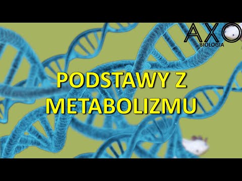 Pobieranie wideo mięśnie szyi Mięśnie pleców huśtawce