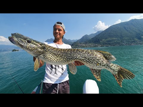 LA PESCA DEL LUCCIO SUL LAGO D'ISEO - 4K by Yuri Grisendi
