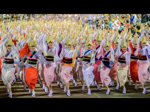 Awesome! The Grand Dance of Awaodori in Tokushima Japan!  | A most famous Japanese traditional dance