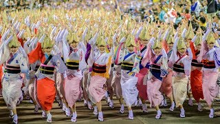 Download lagu Awesome! The Grand Dance of Awaodori in Tokushima Japan!  | A most famous Japanese traditional dance mp3 Download lagu Awesome! The Grand Dance of Awaodori in Tokushima Japan!  | A most famous Japanese traditional dance mp3