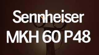 Video thumbnail for Sennheiser MKH60 P48 for sale, demonstration. by Dan Gale