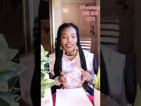 inzunza spirit in details 🧜‍♀️ 🐍🐊