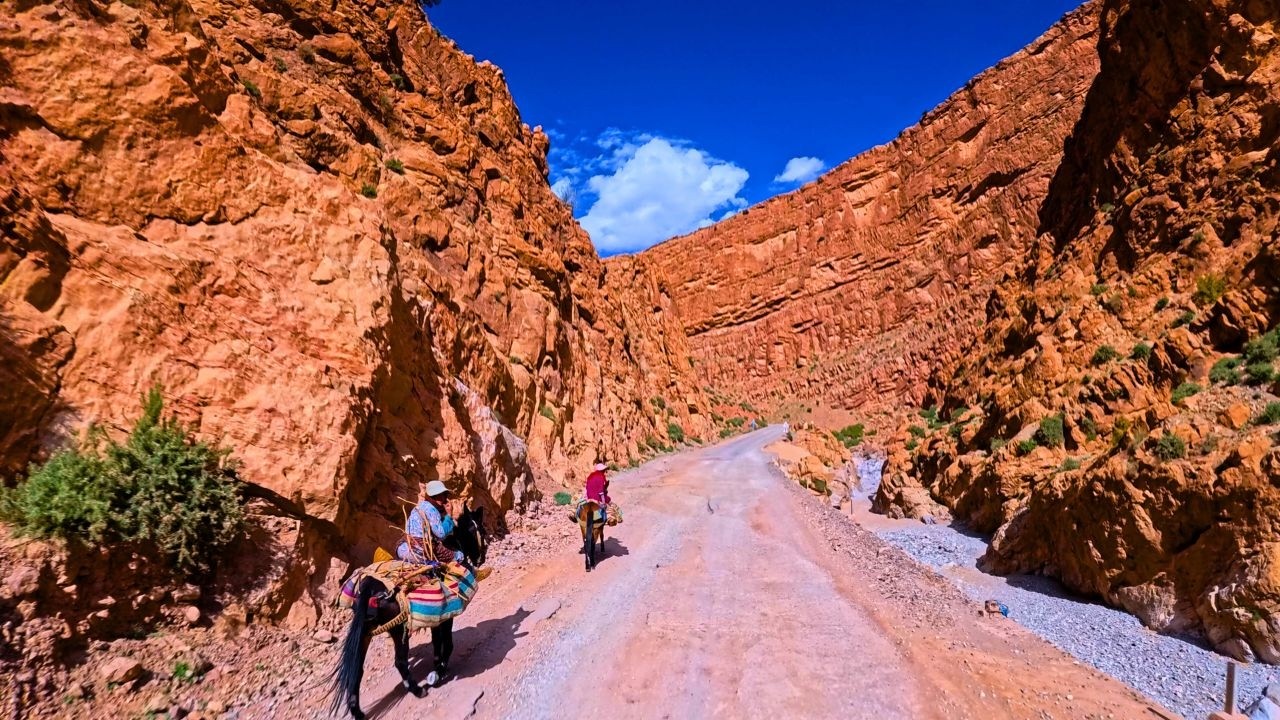 Scenic Drive Through🛣️Morocco's Stunning GORGES du TODRA (TODGHA) From Tinghir to Tamtetoucht