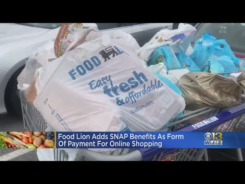 Food Lion Offering New Way To Use SNAP Benefitd