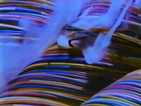 Canadian Anti Drugs commercial wire brain from 1992