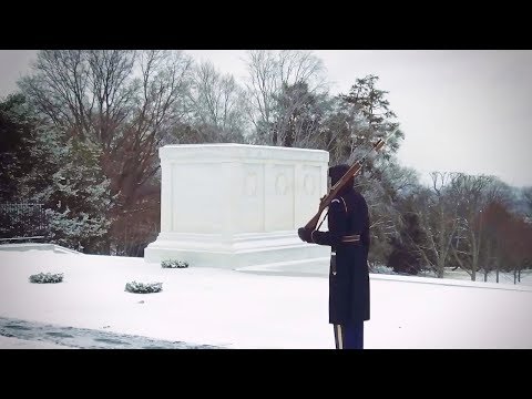 Guarding the Tomb of the Unknown Soldier