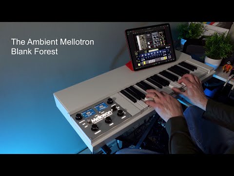 The Ambient Mellotron: Mellotron M4000D Chamberlin Piano and Violins with percussion - Blank Forest
